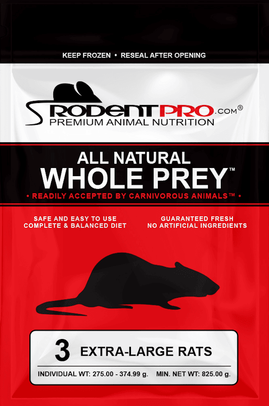 Frozen Extra-Large Rats for Sale: Shop Online at RodentPro